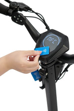 Load image into Gallery viewer, BEXLY RAVEN