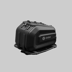 Segway Ninebot ZT3 Pro D