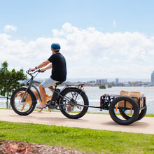 Load image into Gallery viewer, AMPD Brothers Electric Bike Chubbie Electric Beach Cruiser eBike
