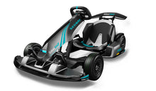 Load image into Gallery viewer, Segway-Ninebot Gokart Pro 2
