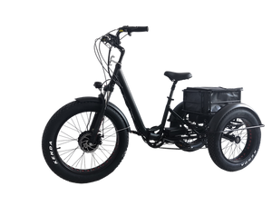 Kristall EX200 E-Trike 48V20AH – Power, Stability, and Maximum Cargo Capacity