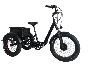 Kristall EX200 E-Trike 48V20AH – Power, Stability, and Maximum Cargo Capacity