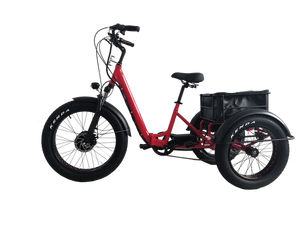 Kristall EX200 E-Trike 48V20AH – Power, Stability, and Maximum Cargo Capacity