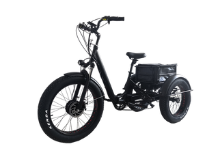 Kristall EX200 E-Trike 48V20AH – Power, Stability, and Maximum Cargo Capacity