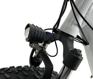 Kristall EX400 E-Trike 48V34AH – Ride Farther, Carry More
