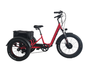 Kristall EX200 E-Trike 48V20AH – Power, Stability, and Maximum Cargo Capacity