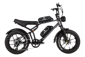 2024 MAMBA Kalahari 48v750w ebike dual battery