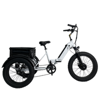Load image into Gallery viewer, Kristall EX400 E-Trike 48V34AH – Ride Farther, Carry More
