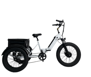 Kristall EX400 E-Trike 48V34AH – Ride Farther, Carry More