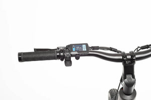 TOLAND ALPINE ELECTRIC BIKE