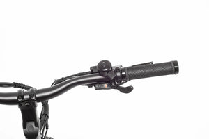 TOLAND ALPINE ELECTRIC BIKE