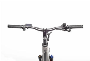 TOLAND ALPINE ELECTRIC BIKE