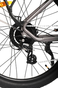 TOLAND ALPINE ELECTRIC BIKE