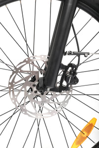 TOLAND ALPINE ELECTRIC BIKE