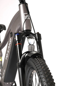 TOLAND ALPINE ELECTRIC BIKE