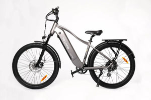 TOLAND ALPINE ELECTRIC BIKE