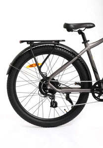 TOLAND ALPINE ELECTRIC BIKE