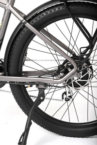 TOLAND ALPINE ELECTRIC BIKE