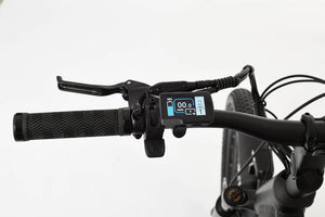 TOLAND ALPINE ELECTRIC BIKE