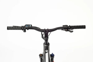 TOLAND ALPINE ELECTRIC BIKE