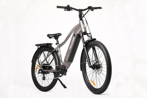 TOLAND ALPINE ELECTRIC BIKE