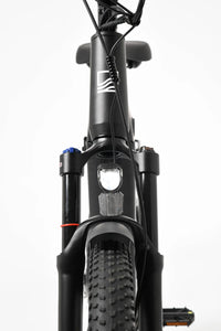 TOLAND ALPINE ELECTRIC BIKE
