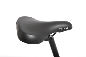 TOLAND ALPINE ELECTRIC BIKE