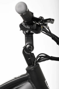 TOLAND ALPINE ELECTRIC BIKE