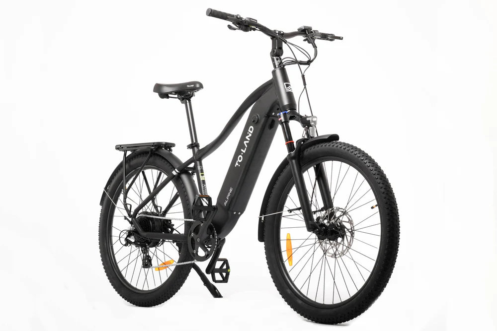 TOLAND ALPINE ELECTRIC BIKE