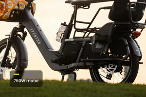 Aventon Abound LR Electric Cargo Bike