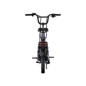 Aventon Abound SR Electric Cargo Bike
