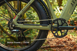 Aventon Aventure 3 Step Over Electric Bike
