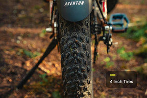 Aventon Aventure 3 Step Over Electric Bike