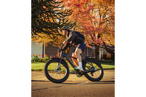 Aventon Aventure 3 Step Over Electric Bike