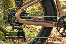 Load image into Gallery viewer, Aventon Aventure 3 Step Through Electric Bike
