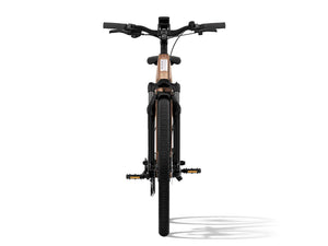 Aventon Level 3 Step Through Electric Bike