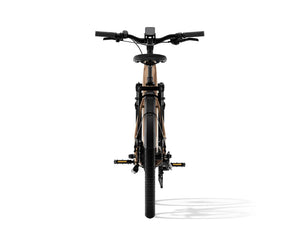 Aventon Level 3 Step Through Electric Bike