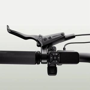 Aventon Sinch 2.5 Fat Tyre Folding Electric Bike