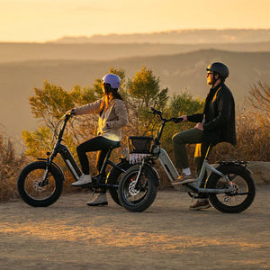Aventon Sinch 2.5 Fat Tyre Folding Electric Bike