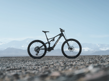 Load image into Gallery viewer, Amflow PX Carbon
