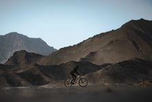 Load image into Gallery viewer, Amflow PX Carbon Pro
