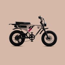 Load image into Gallery viewer, Flight Risk - FR555X
