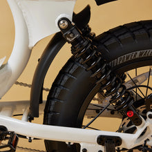 Load image into Gallery viewer, CRUZR SWELL Electric Bike

