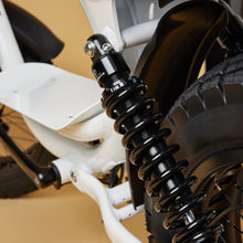 Load image into Gallery viewer, CRUZR SWELL Electric Bike
