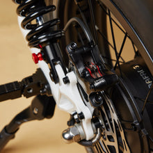 Load image into Gallery viewer, CRUZR SWELL Electric Bike
