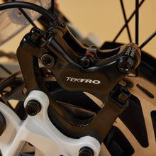 Load image into Gallery viewer, CRUZR SWELL Electric Bike

