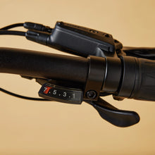 Load image into Gallery viewer, CRUZR SWELL Electric Bike
