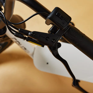 CRUZR SWELL Electric Bike