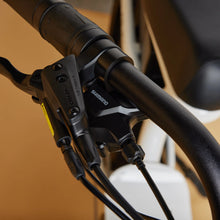 Load image into Gallery viewer, CRUZR SWELL Electric Bike
