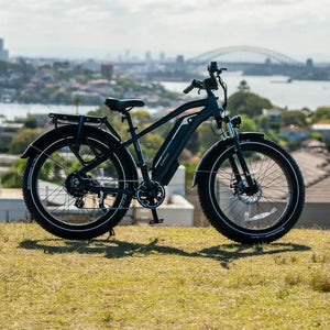 DiroDi Vivo E-Bike Electric Bike Gen 2